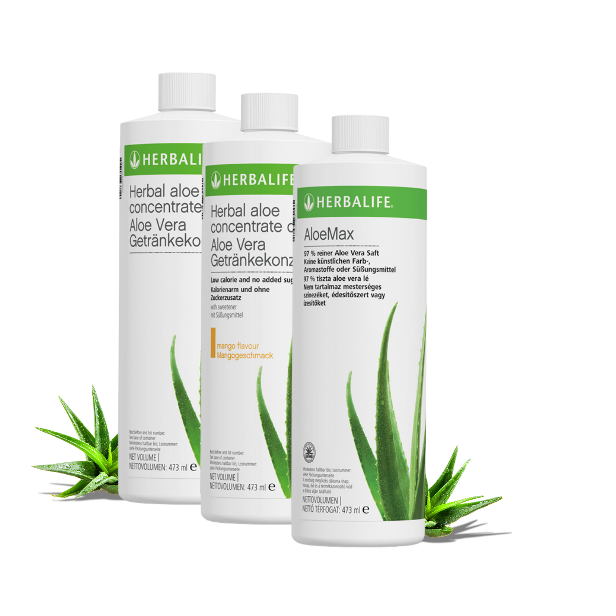 aloe vera getränkekonzentrat wirkung Aloe Vera Getränkekonzentrat – HlfWellnessProdukte